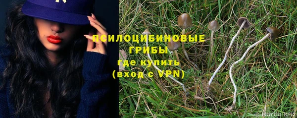 apvp Иннополис