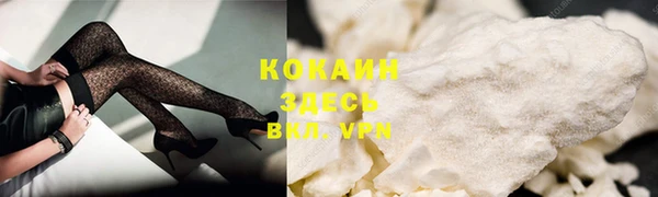 apvp Иннополис
