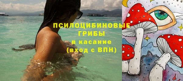 apvp Иннополис